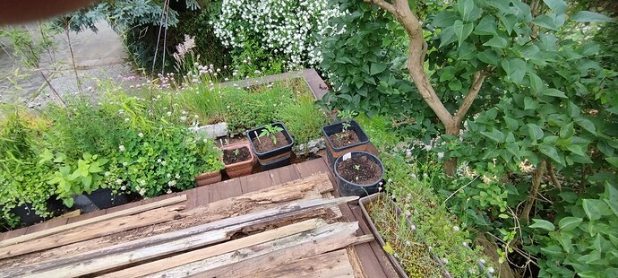 Growreport Bild 9
