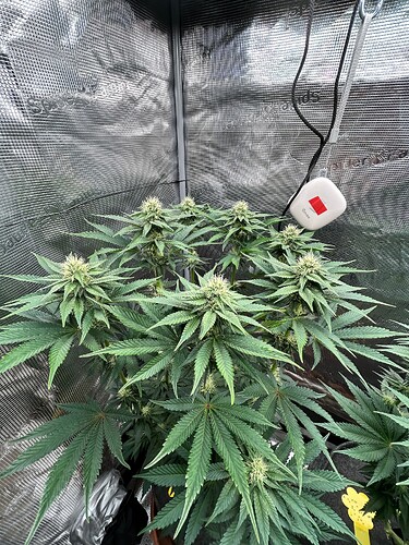 Growreport Bild 12