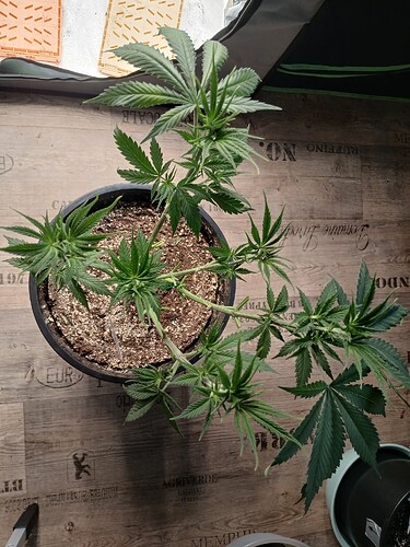 Growreport Bild 16