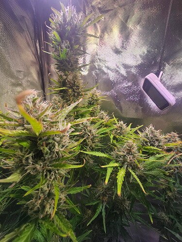 Growreport Bild 26