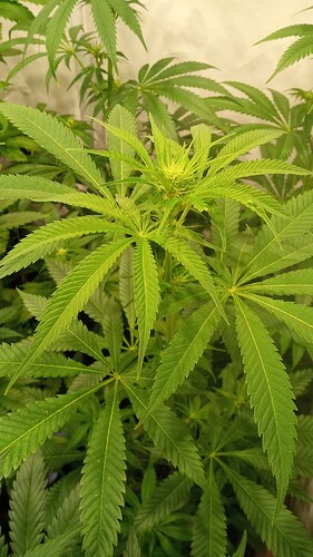 Growreport Bild 8