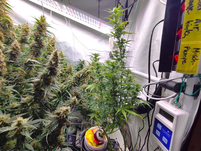 Growreport Bild 25
