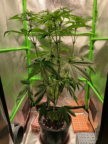 Growreport Bild 6