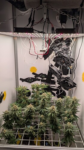 Growreport Bild 18