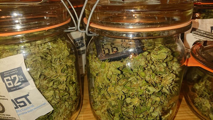 Growreport Bild 46