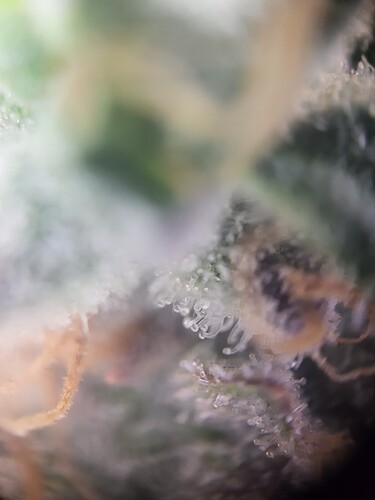 Growreport Bild 10