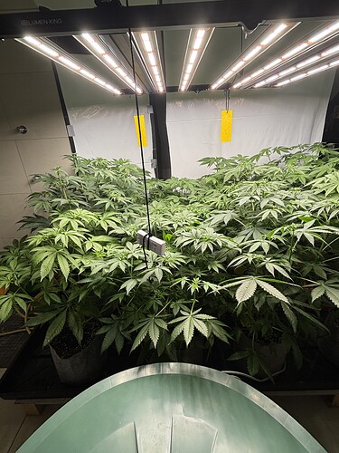 Growreport Bild 9