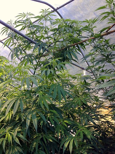 Growreport Bild 23