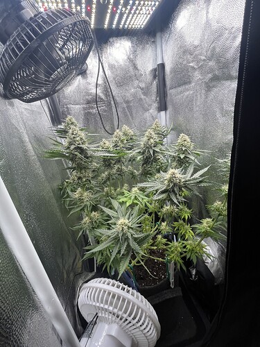 Growreport Bild 18