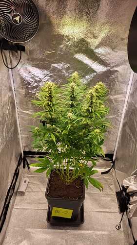 Growreport Bild 6