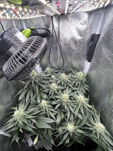 Growreport Bild 7