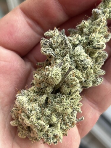 Growreport Bild 2