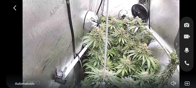 Growreport Bild 1