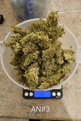 Growreport Bild 1