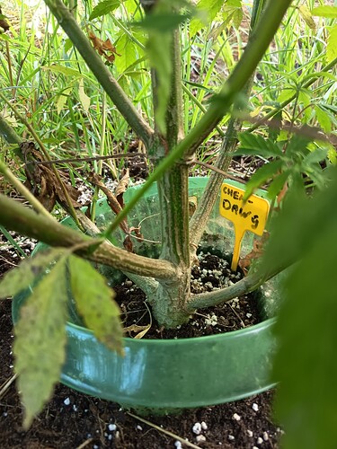 Growreport Bild 4