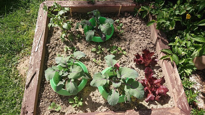 Growreport Bild 33