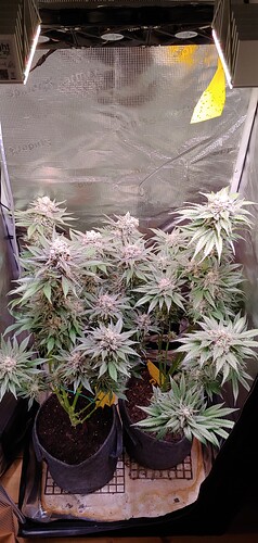 Growreport Bild 14