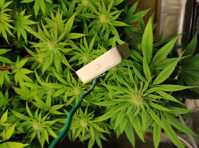 Growreport Bild 3