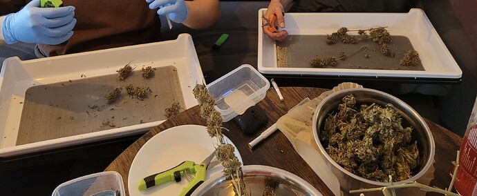 Growreport Bild 19