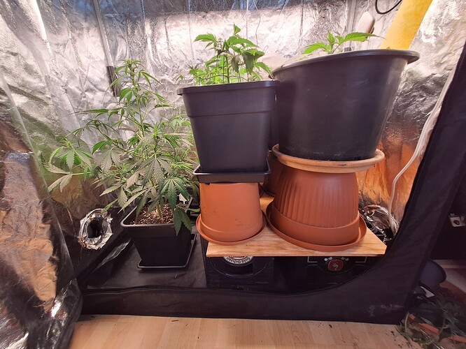Growreport Bild 1