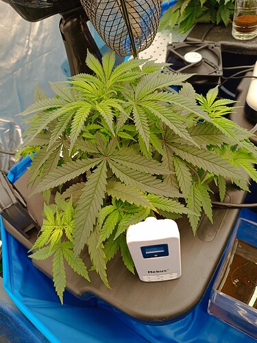 Growreport Bild 5