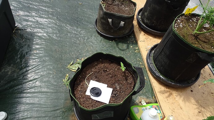 Growreport Bild 11