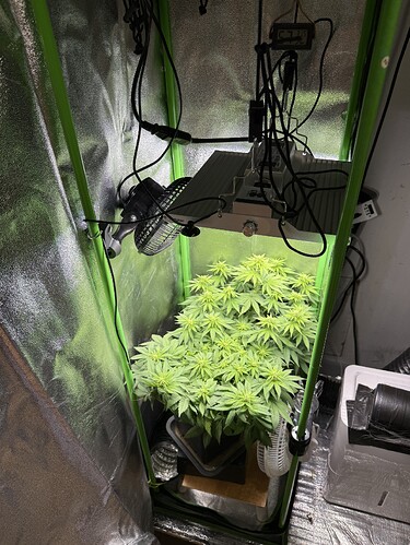 Growreport Bild 61