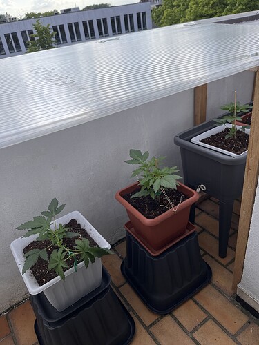 Growreport Bild 50