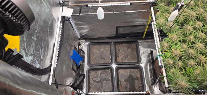 Growreport Bild 27