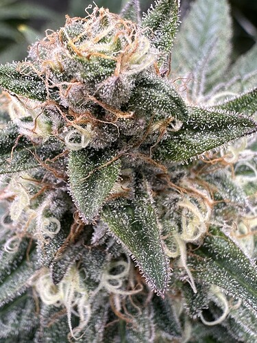 Growreport Bild 17