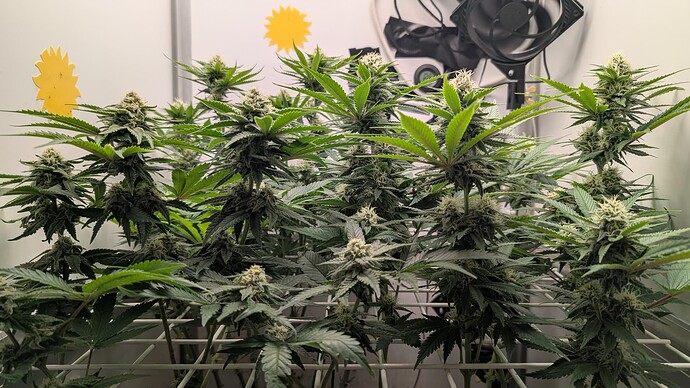 Growreport Bild 14