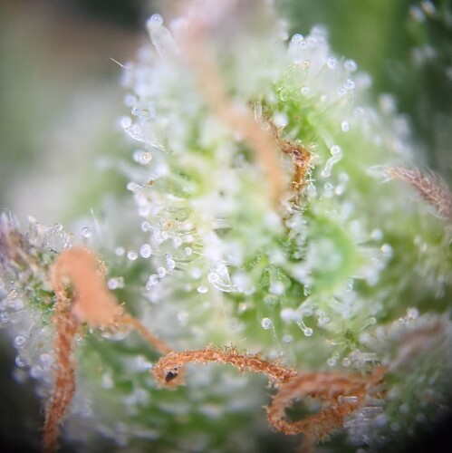 Screenshot_20240720-005802~2