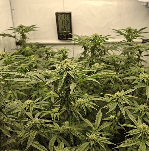 475071846_122165273198293599_3947156422656052345_n