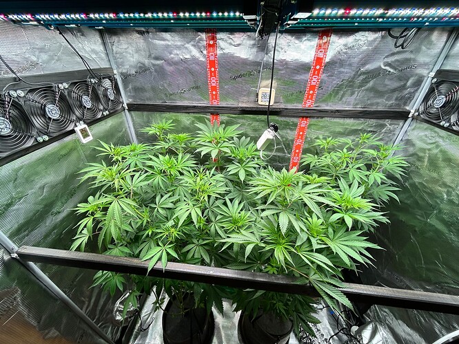 Growreport Bild 2