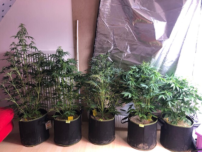 Growreport Bild 12