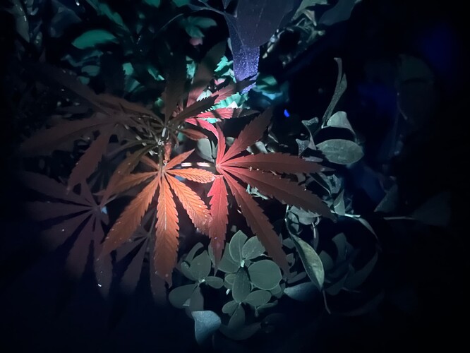 Growreport Bild 8