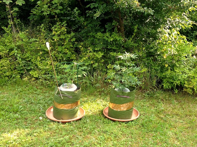 Growreport Bild 11