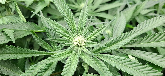 Growreport Bild 14