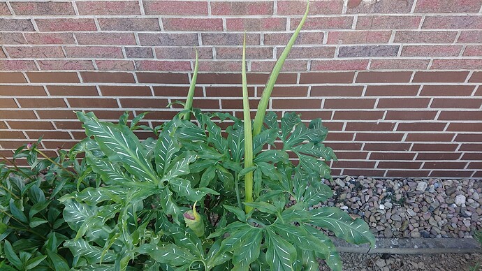 Growreport Bild 28