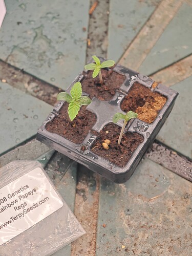Growreport Bild 21