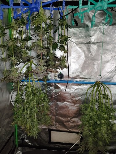 Growreport Bild 6