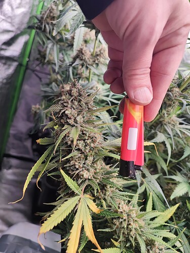 Growreport Bild 25