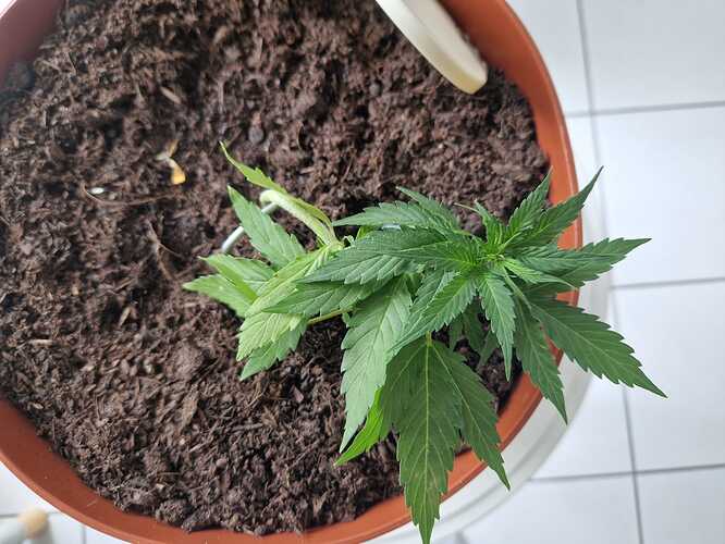 WhatsApp Image 2024-05-22 at 17.48.42 (4)