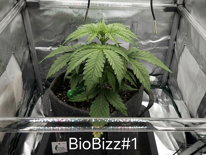 Growreport Bild 20