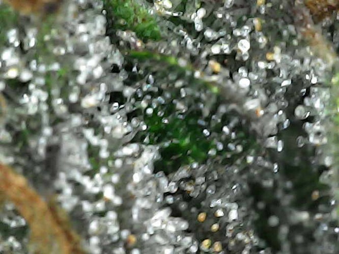 Photo_2025-04-28 16_24_23_710