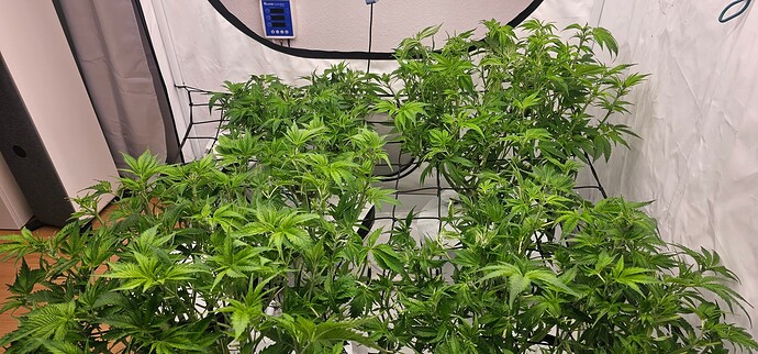 Growreport Bild 12
