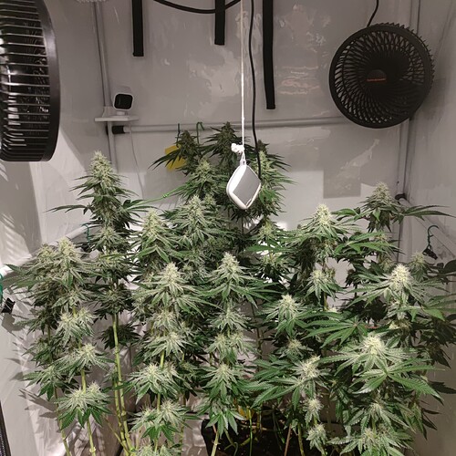 Growreport Bild 2