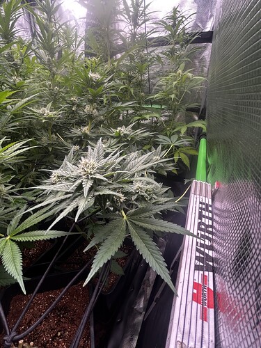 Growreport Bild 8