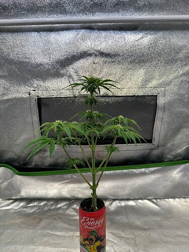 Growreport Bild 13