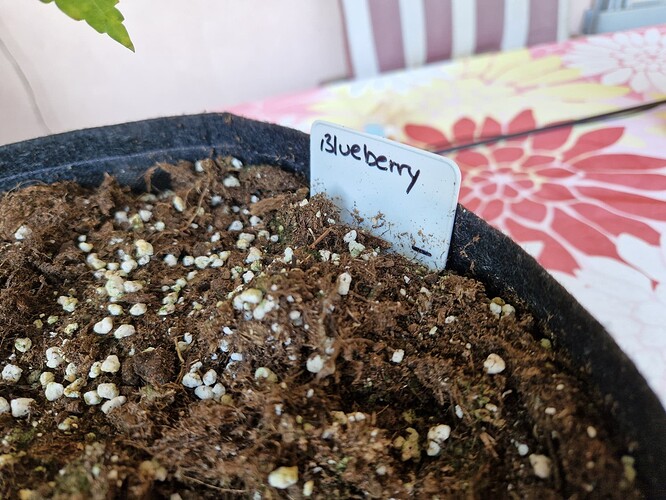 Growreport Bild 11